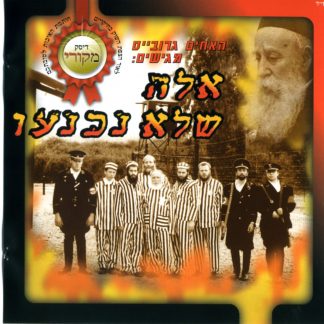תמונה ממוזערת 1